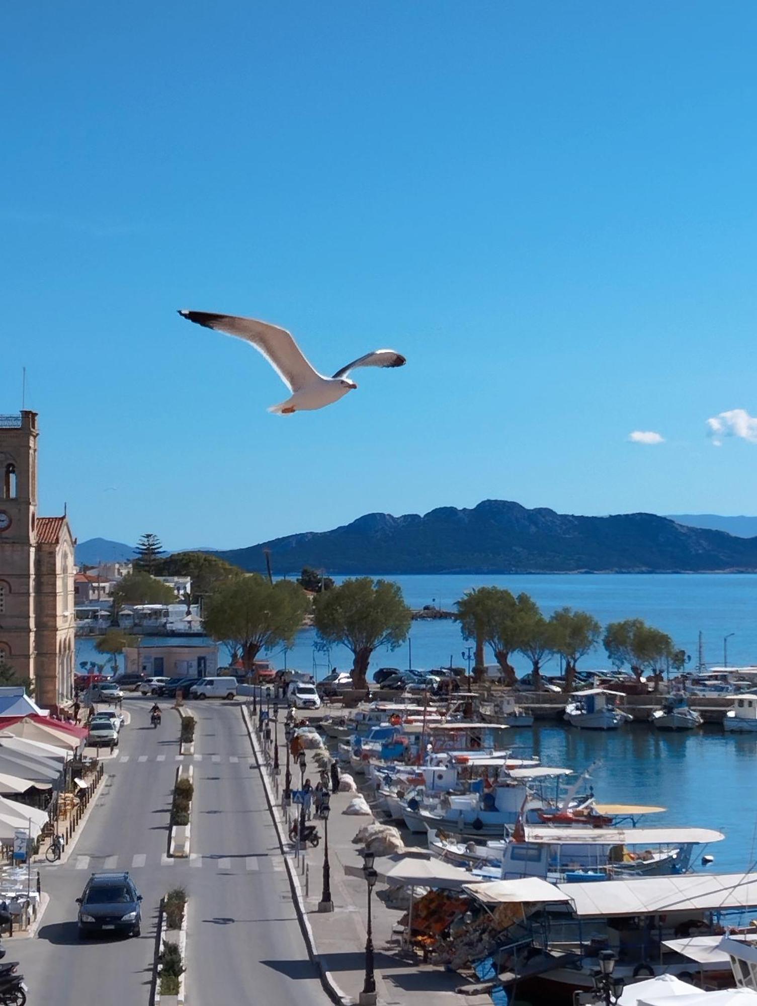 Aegina Port Apt 2-Διαμέρισμα Στο Λιμάνι Της Αίγινας 2 Екстер'єр фото